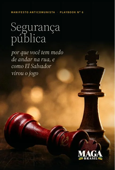 Capa do Playbook nº 6: Segurança pública